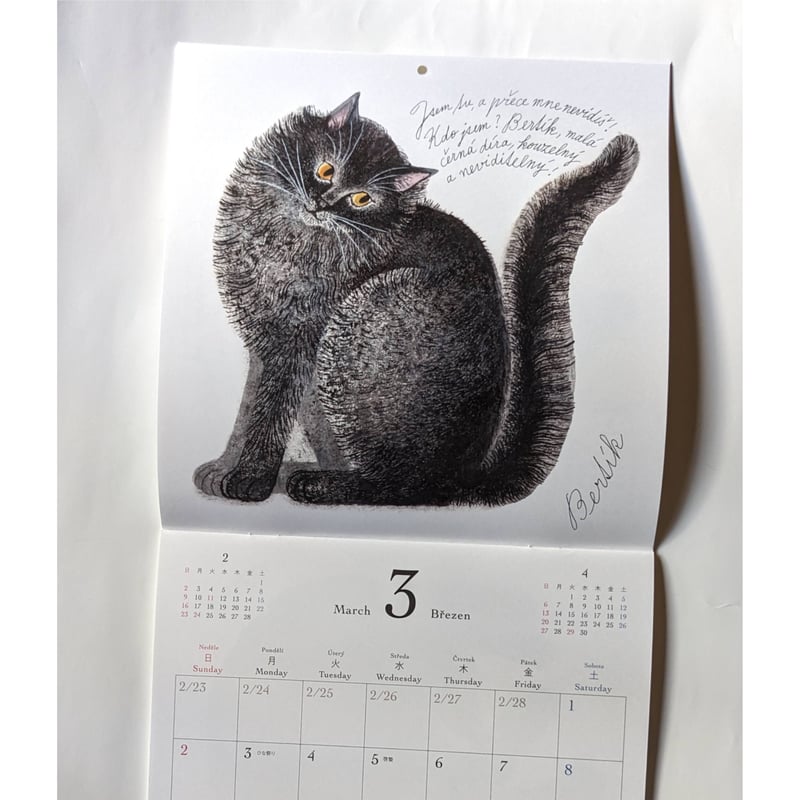 出久根育カレンダー2025「チェコの猫の12ヶ月」 | nowaki
