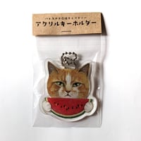 原マスミポストカードセット6種 | nowaki