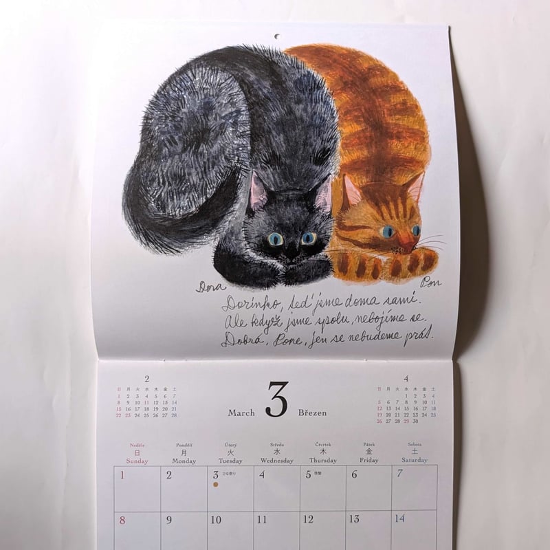 出久根育カレンダー2026「チェコの猫の12ヶ月」 | nowaki