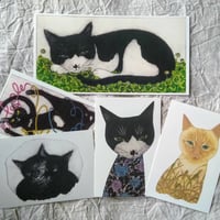 町田尚子「猫」手拭い（猫視眈々謹製） | nowaki