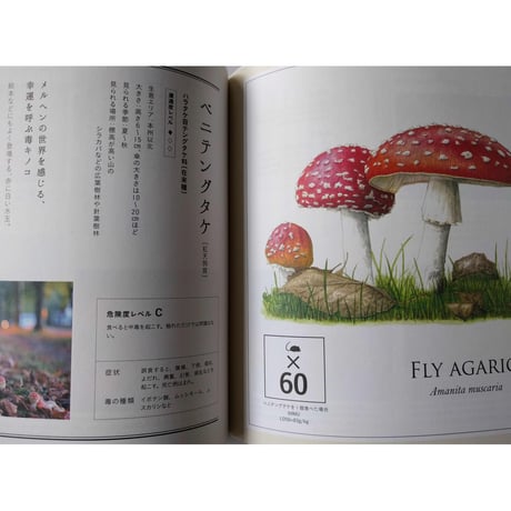 『道草の名前』・『毒生物の名前』