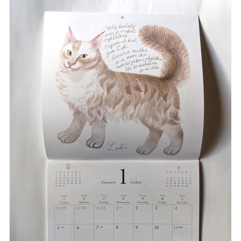 出久根育カレンダー2025「チェコの猫の12ヶ月」 | nowaki