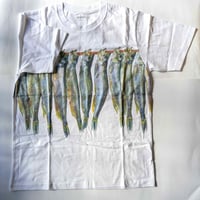 加藤休ミ：Tシャツ「ししゃも」