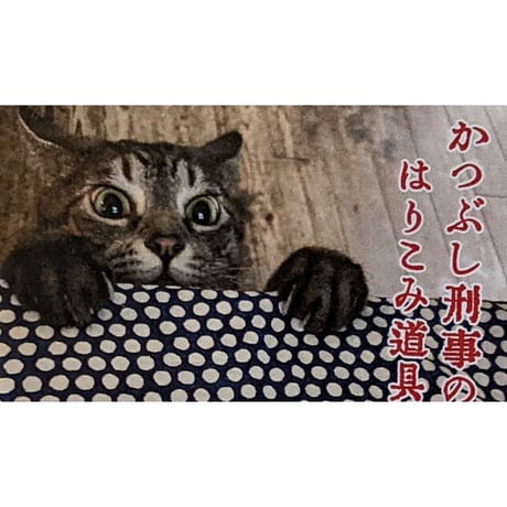 かつぶし刑事のはりこみ道具：マッチ箱（付箋3種入）