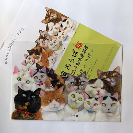 町田尚子：クリアファイル「ねことねこ」