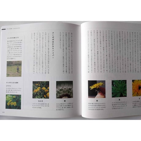 『道草の名前』・『毒生物の名前』