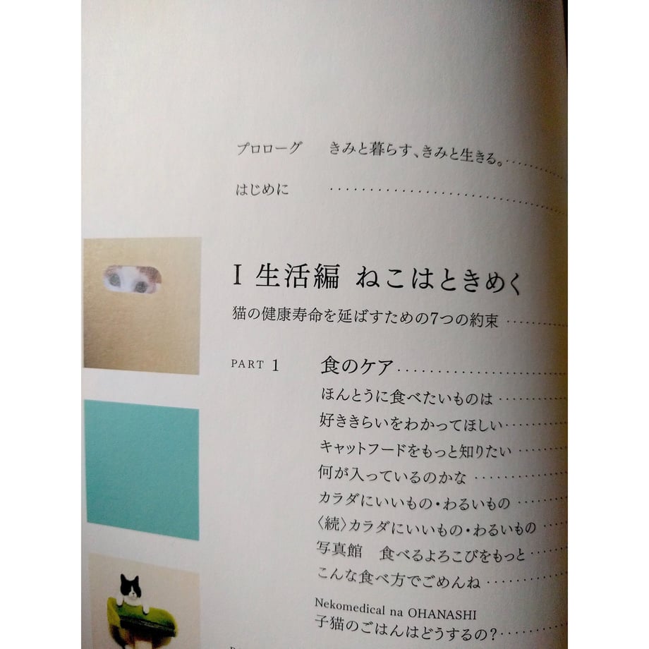 5d483a4408382954f04c39e9