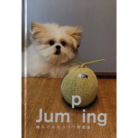 『Jumping 跳んでるモコゾウ写真集』＊缶バッジ付