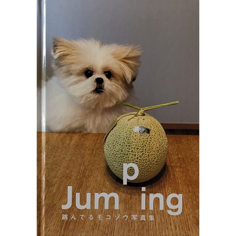 Jumping 跳んでるモコゾウ写真集』＊缶バッジ付 | nowaki