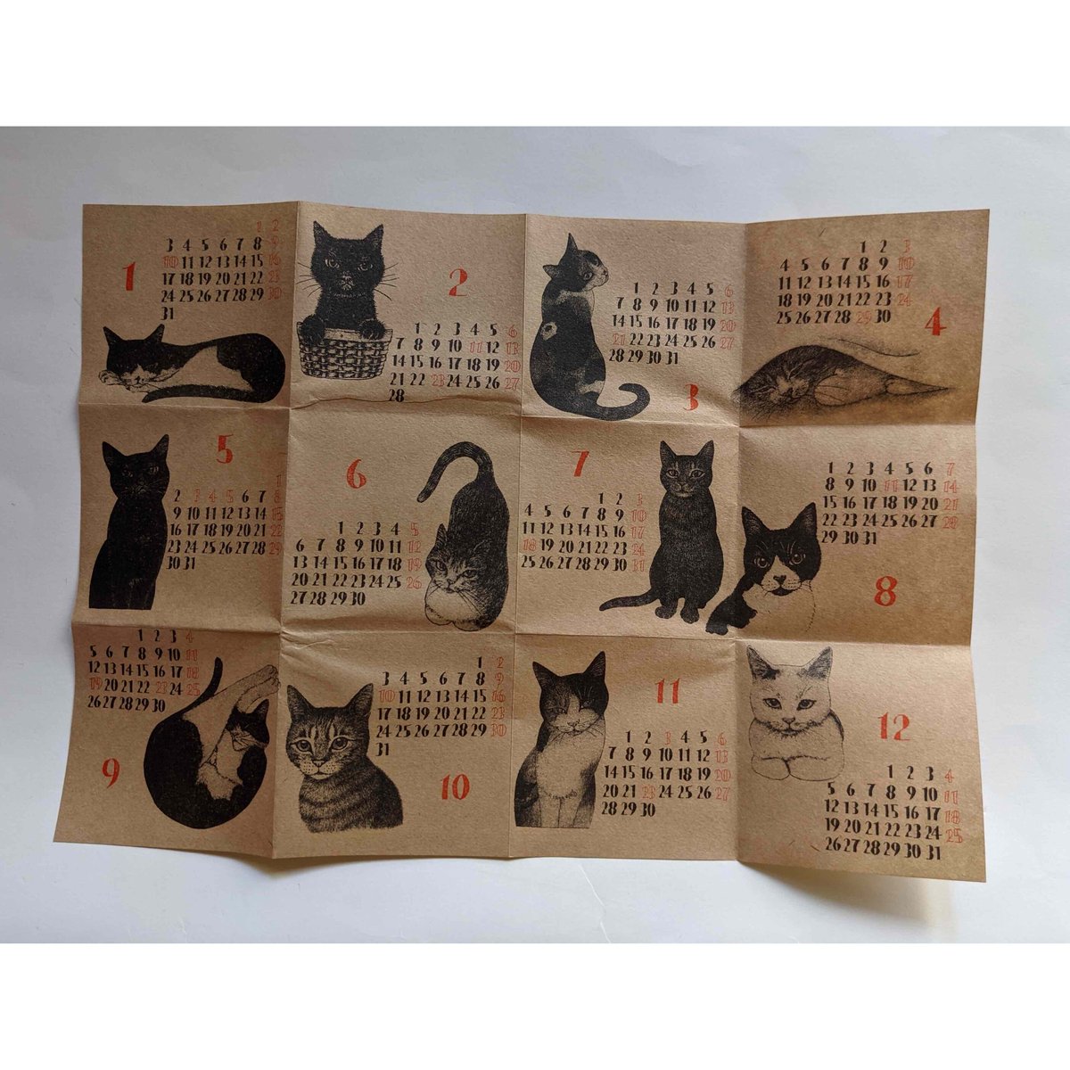 坂本千明カレンダー2022 | nowaki