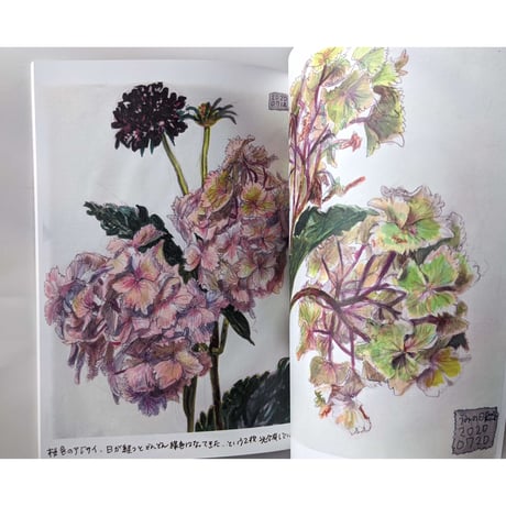 『お花の絵の本』（みなはむ）
