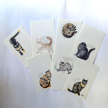 出久根育ポストカード：「チェコの猫の12ヵ月」vol.2