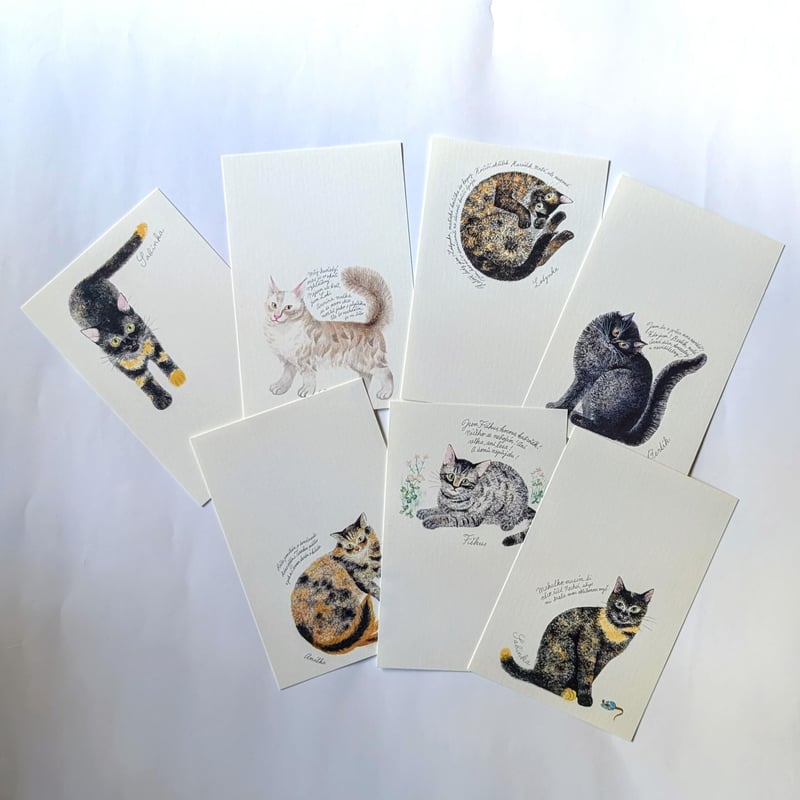 出久根育ポストカード：「チェコの猫の12ヵ月」vol.2 | nowaki