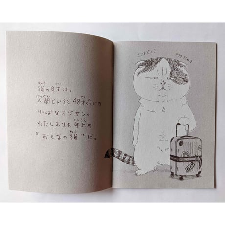 絵本『ねこはるすばん』（町田尚子）  特製おまけ付き