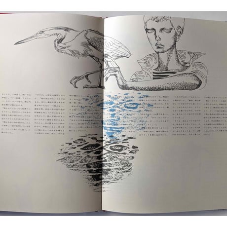 復刻版『海の小娘』（宇野亜喜良/横尾忠則/梶祐輔）