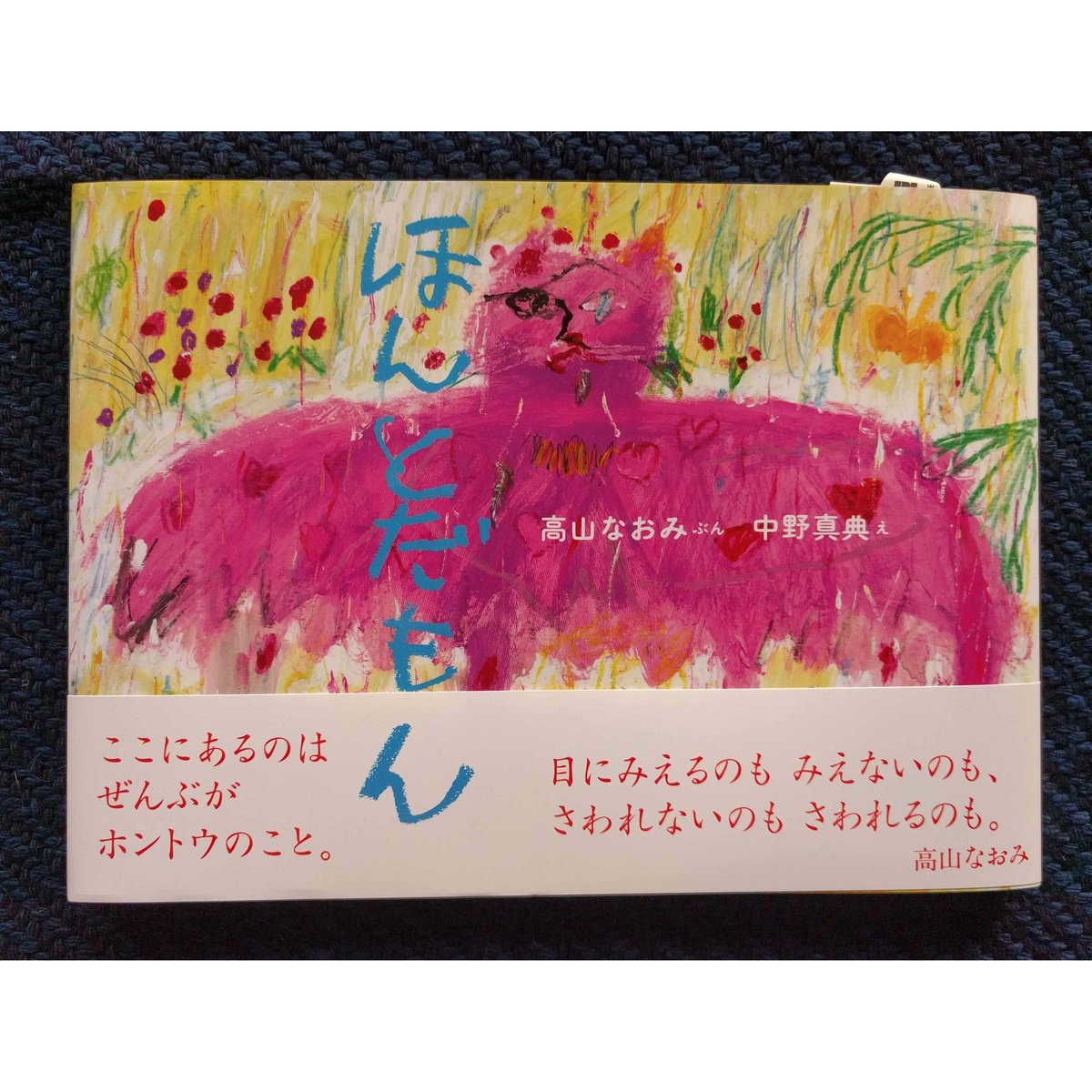 ほんとだもん』高山なおみ文・中野真典絵 | nowaki