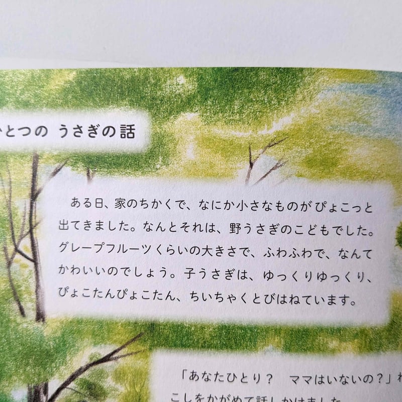 新装版『うさぎのルーピースー』（どいかや｝ ＊サイン入り | nowaki