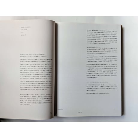 『TOPICA PICTUS』（岡﨑乾二郎）