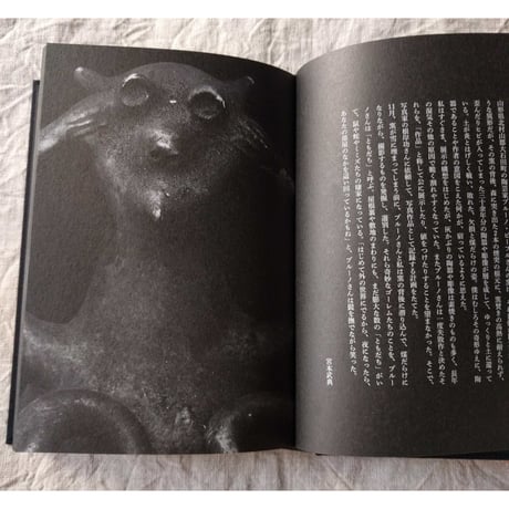 『盆地文庫』荒井良二/ブルーノピーフル/スガノサカエ/いしいしんじ/坂本大三郎