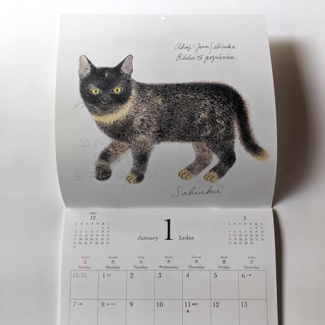 出久根育カレンダー2024「チェコの猫の12ヶ月」