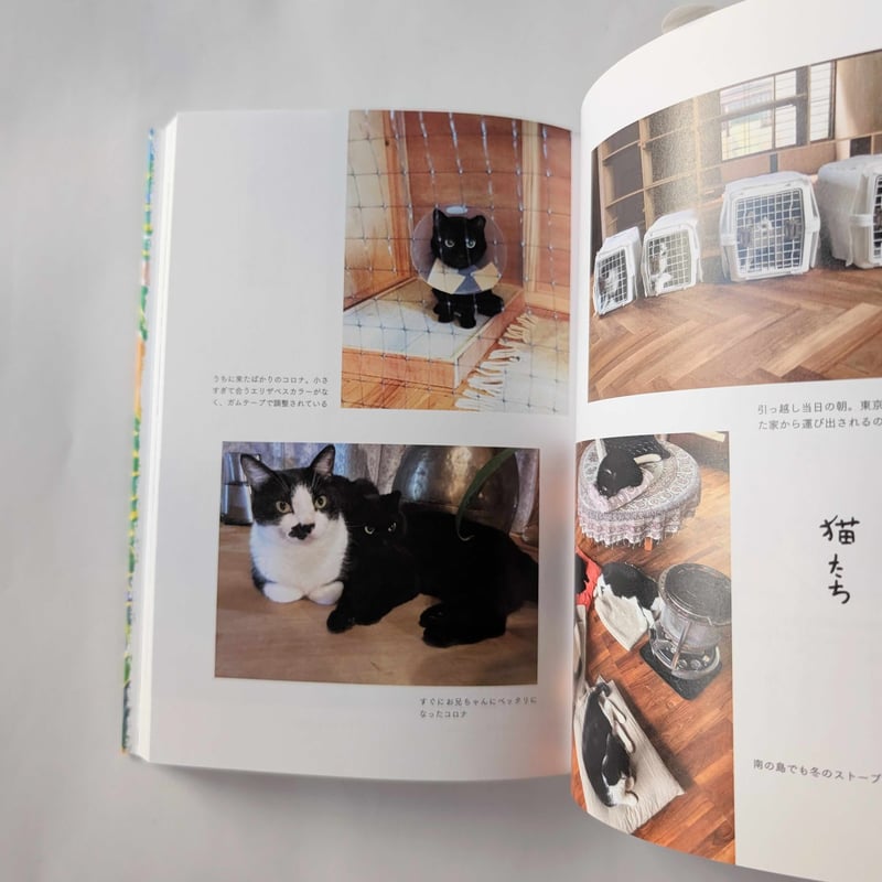 島まみれ帳』（ミロコマチコ）＊サイン入り | nowaki