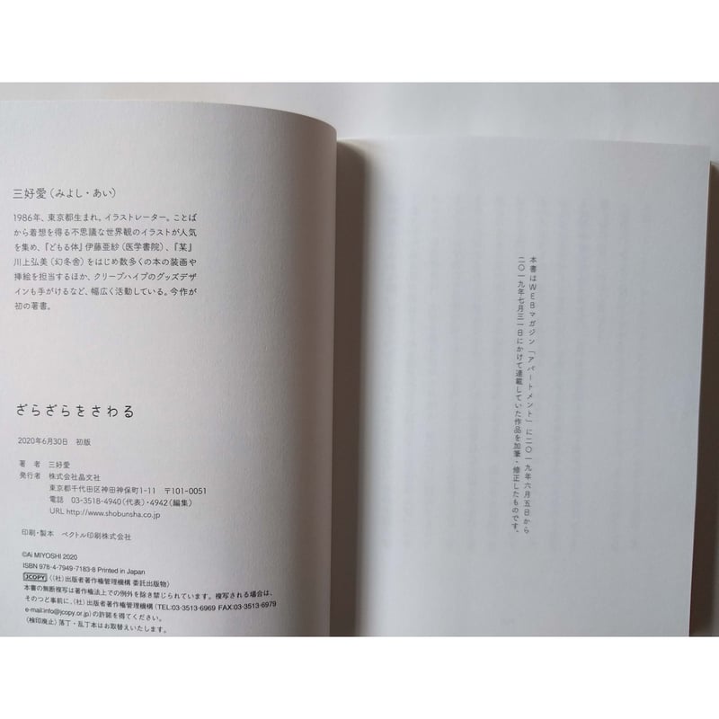 ざらざらをさわる』三好愛 | nowaki