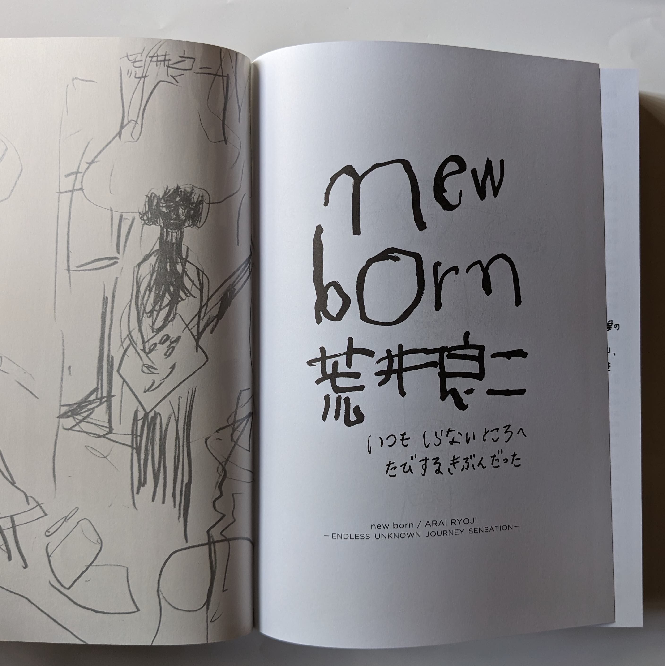 new born 荒井良二 アートブック　図録 original
