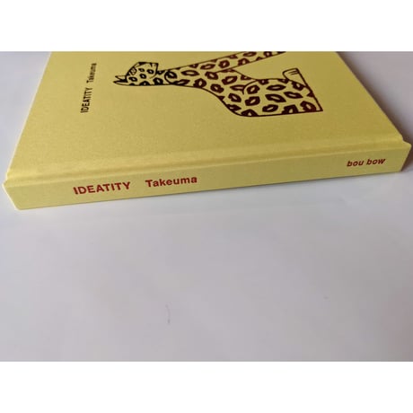 タケウマ・unpis・カワグチタクヤ：『IDEATITY』  （3冊組箱入）