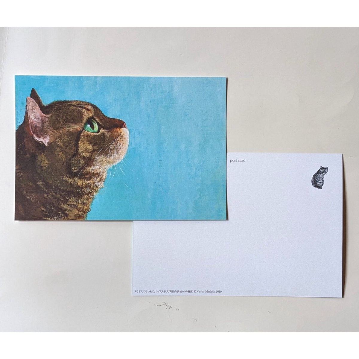 町田尚子：「なまえのないねこ」特大ポストカード | nowaki