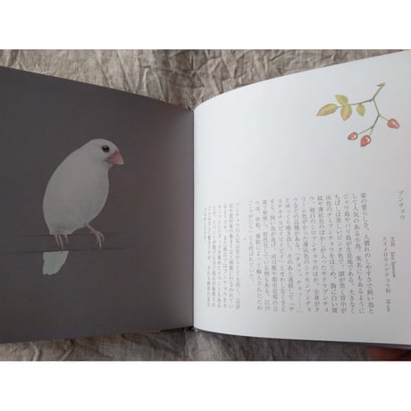 『小鳥ならば』（ユカワアツコ）