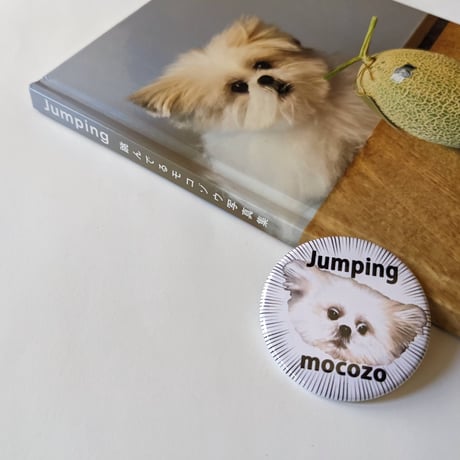 『Jumping 跳んでるモコゾウ写真集』＊缶バッジ付