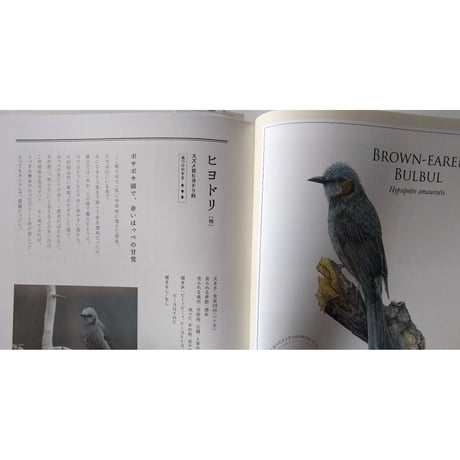 『貝殻の名前』・『野鳥の名前』