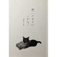 エッセイ『思いどおりにいかない』（坂本千明）＊サイン入り