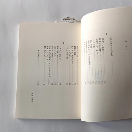 『ホロホロチョウのよる』（ミロコマチコ）