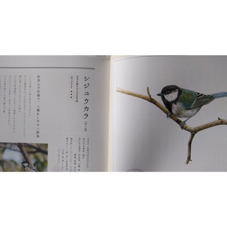 『貝殻の名前』・『野鳥の名前』