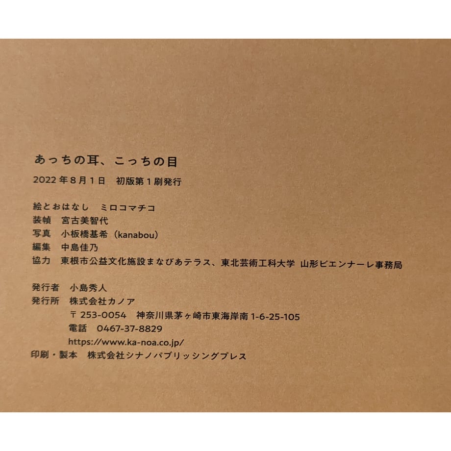 62e620bcb82156256036a384