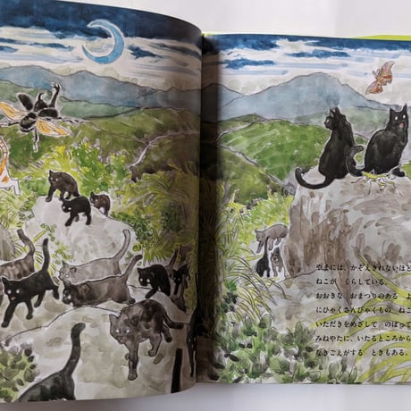 『ねこまがたけ』（加門七海文/五十嵐大介絵/東雅夫編）＊五十嵐さんサイン入り