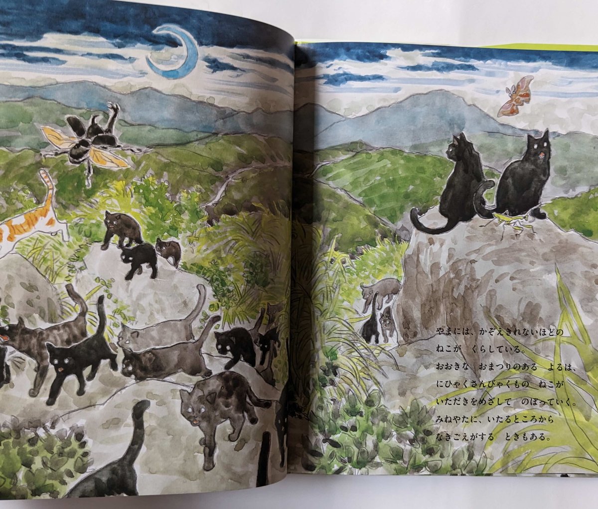 ねこまがたけ』（加門七海文/五十嵐大介絵/東雅夫編）＊五十嵐さん