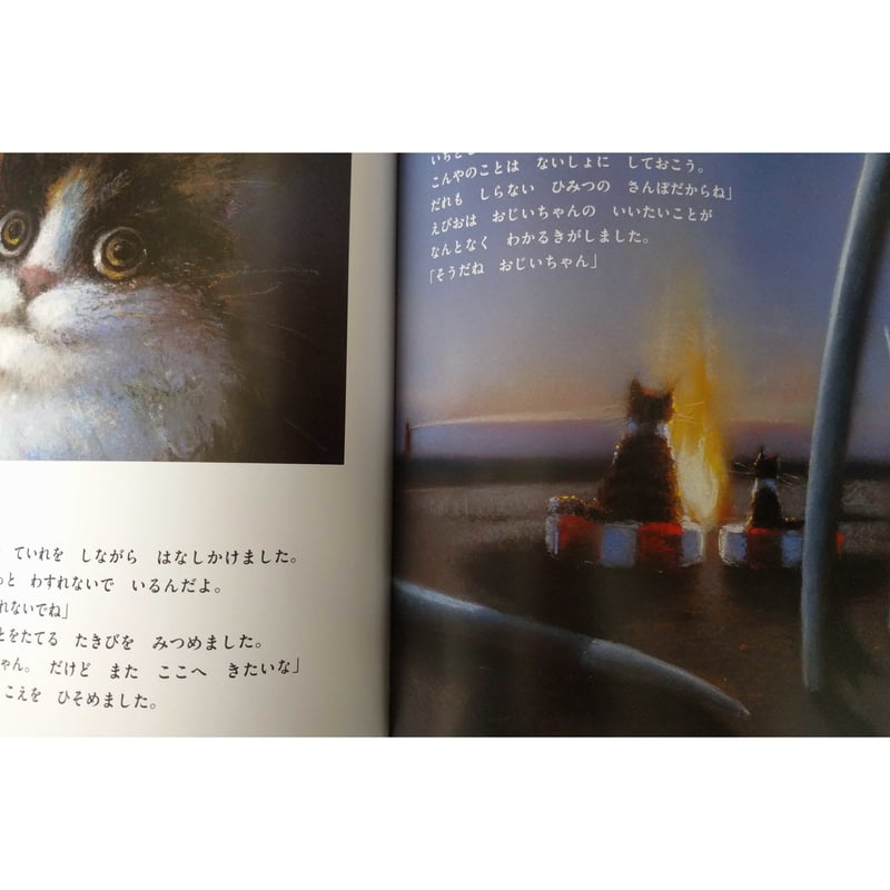小林牧牛氏作品 猫と小鳥 本の上でお昼寝 【公式通販】