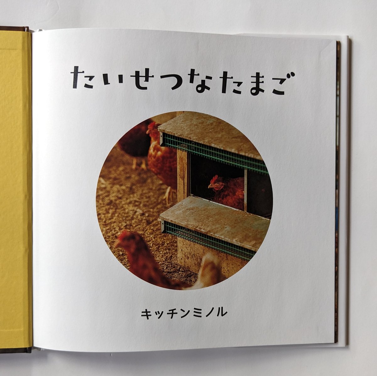 うさたまごページ たいせつなたまご』（キッチンミノル） ＊サイン入り | nowaki