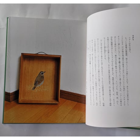 『草木鳥鳥文様』（梨木香歩文・ユカワアツコ絵・長島有里枝写真）＊ユカワさんサイン入り