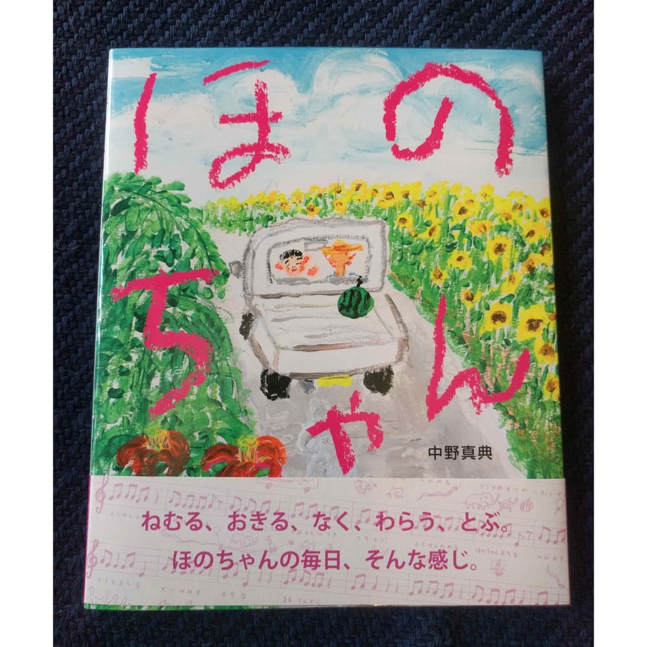 58f9785d1a704b9b47000343