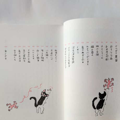 『島まみれ帳』（ミロコマチコ）＊サイン入り