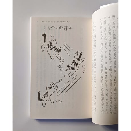 文庫『猫は、うれしかったことしか 覚えていない』  （石黒由紀子文・ミロコマチコ絵）