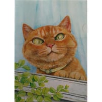 町田尚子「猫」手拭い（猫視眈々謹製） | nowaki