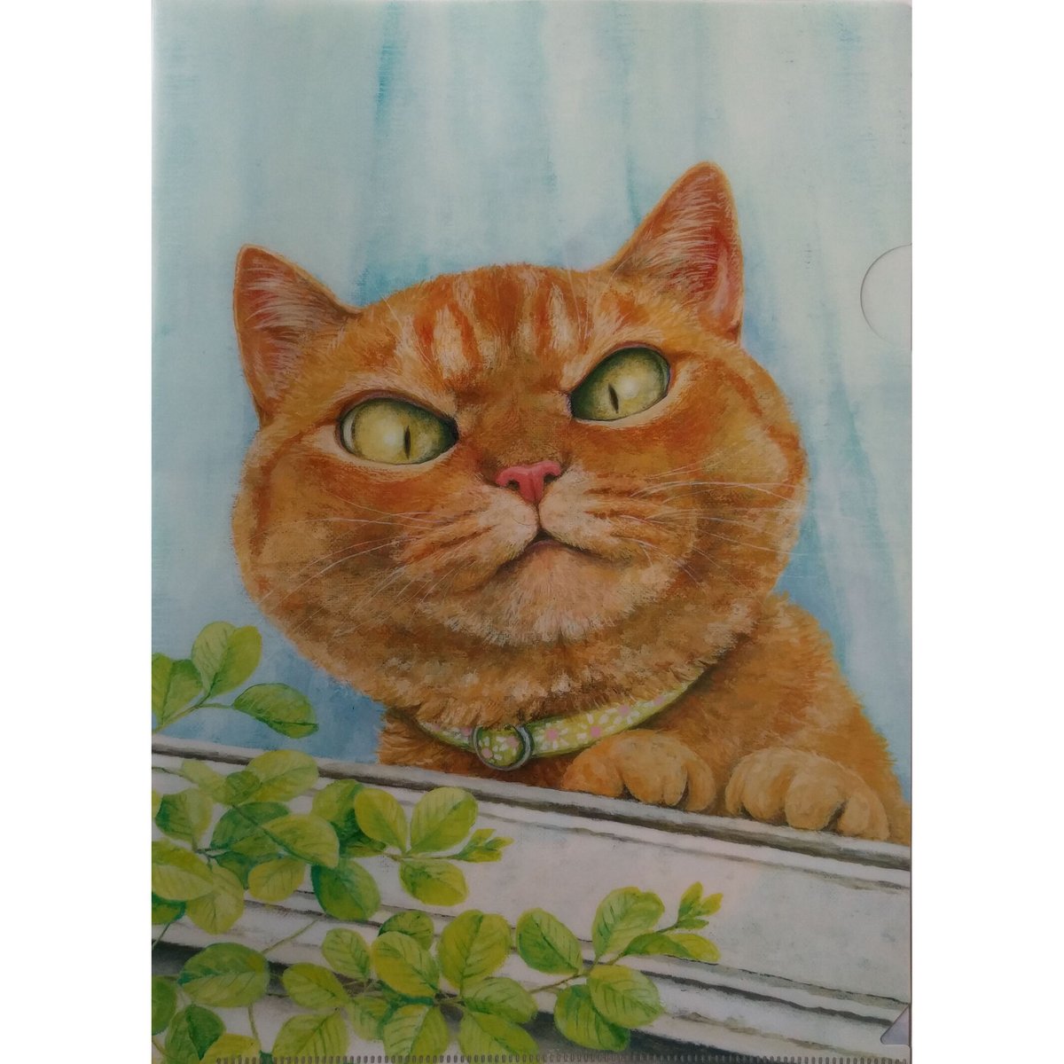 町田尚子：『ねこはるすばん』クリアファイル | nowaki