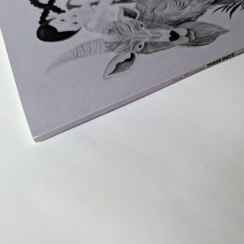 水沢そら作品集『These Days』＊サイン入り | nowaki