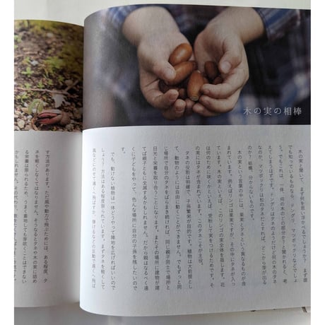 『木の実の名前』