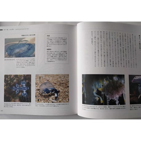 『道草の名前』・『毒生物の名前』