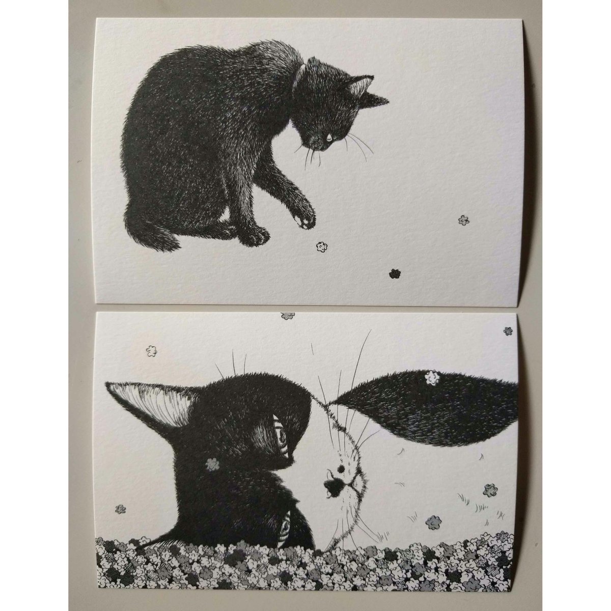 モノクロ猫絵葉書(坂本千明/樋口佳絵/堀口尚子) | nowaki モノクロ猫絵葉書(坂本千明/樋口佳絵/堀口尚子) | nowaki